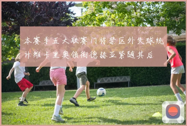 本赛季五大联赛门将禁区外失球统计维卡里奥领衔德赫亚紧随其后